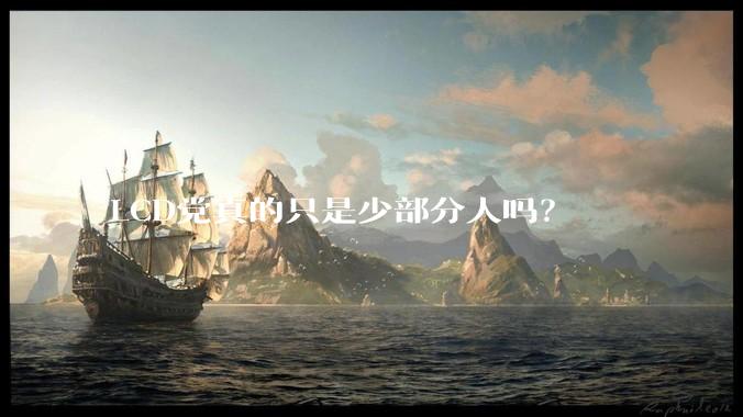 LCD党真的只是少部分人吗？