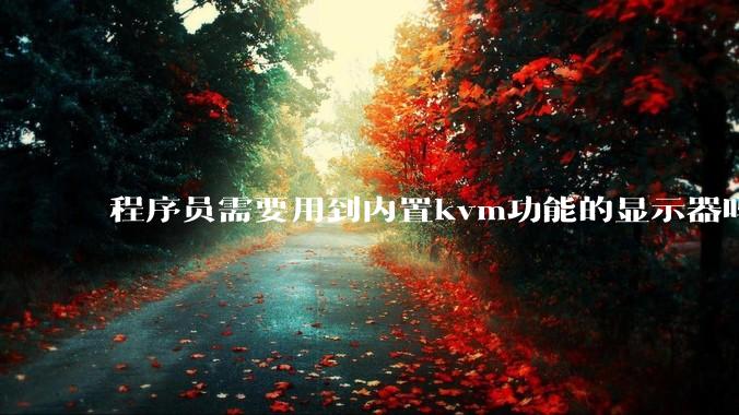 程序员需要用到内置kvm功能的显示器吗？或者是外置的kvm切换器吗？