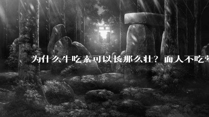 为什么牛吃素可以长那么壮？而人不吃荤就不行？