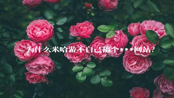 为什么米哈游不自己搞个***网站？