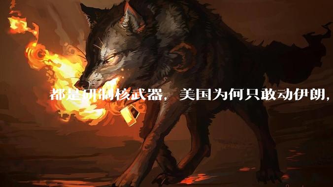 都是研制核武器，美国为何只敢动伊朗，对朝鲜却畏首畏尾？