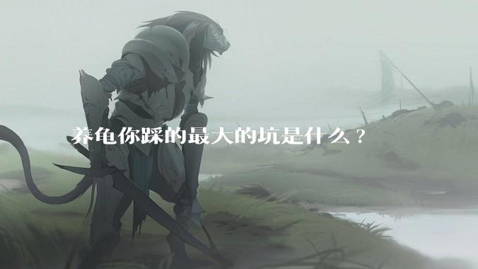 养龟你踩的最大的坑是什么?