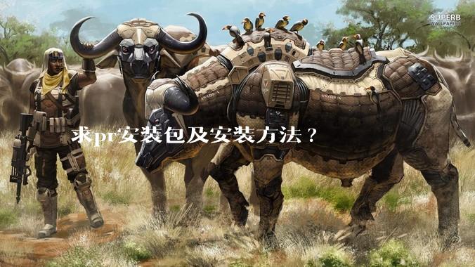 求pr安装包及安装方法?