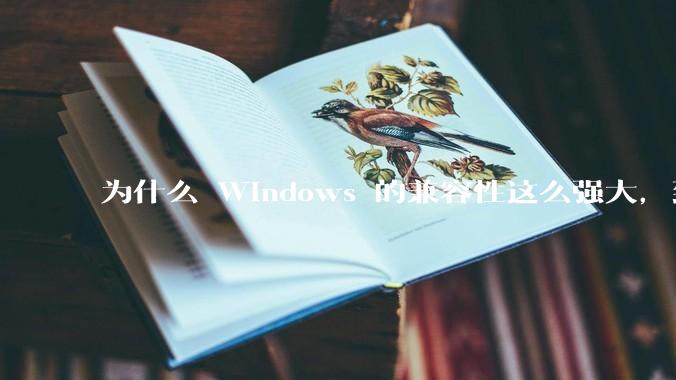 为什么 Windows 的兼容性这么强大，到底用了什么技术？