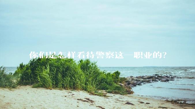 你们是怎样看待警察这一职业的？