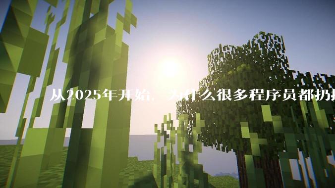 从2025年开始，为什么很多程序员都扔掉了Windows、Mac和Linux，开始拥抱鸿蒙pc了？