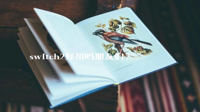 switch2好用吗朋友们?