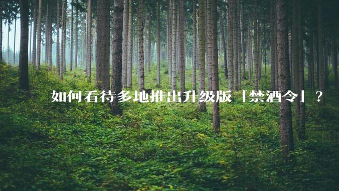 如何看待多地推出升级版「禁酒令」？