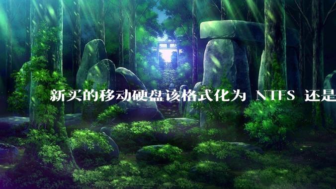 新买的移动硬盘该格式化为 NTFS 还是 exFAT？
