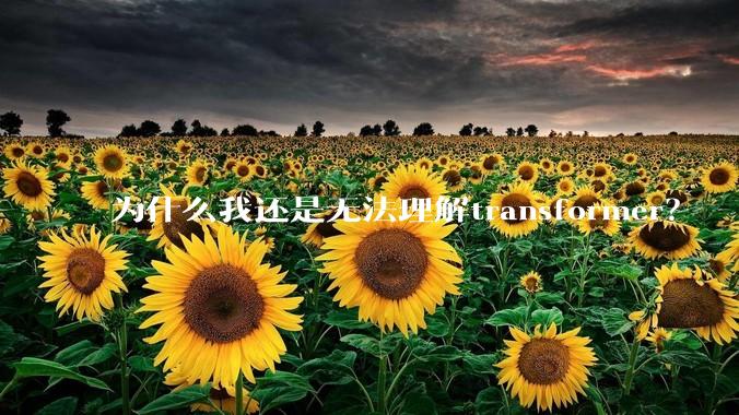 为什么我还是无法理解transformer？
